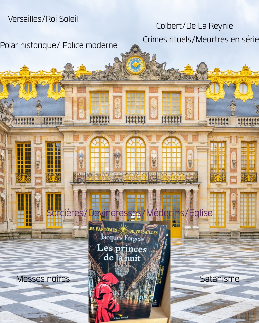Les princes de la nuit de Jacques Forgeas