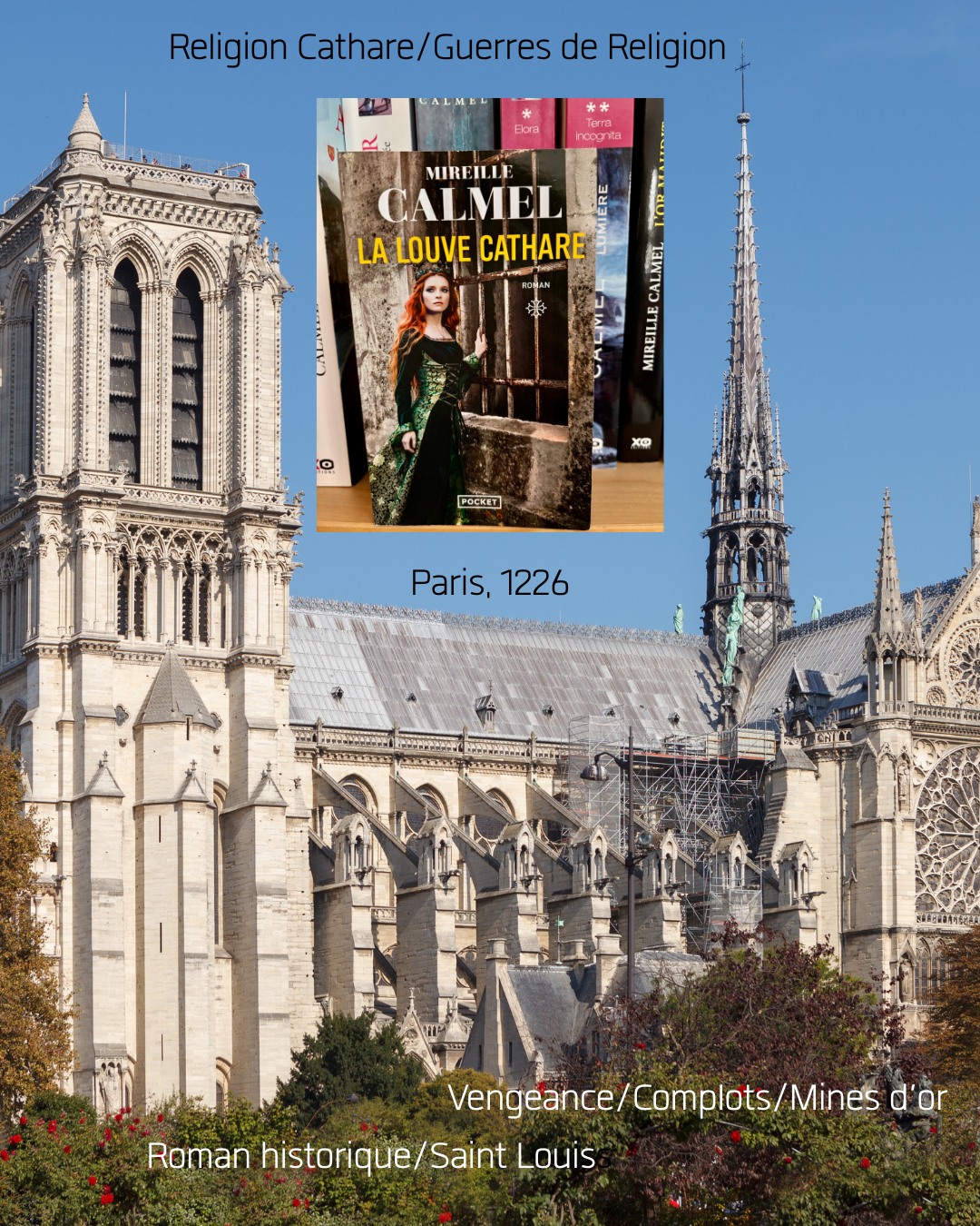 La louve cathare de Mireille Calmel